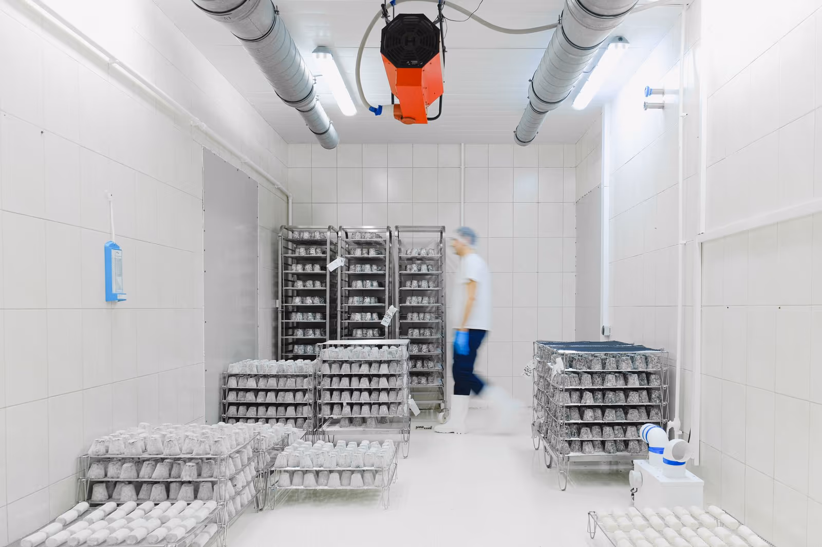 A worker moving stock inside a cold store