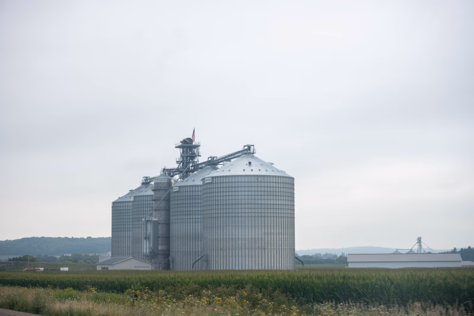 Grain silos against the sky