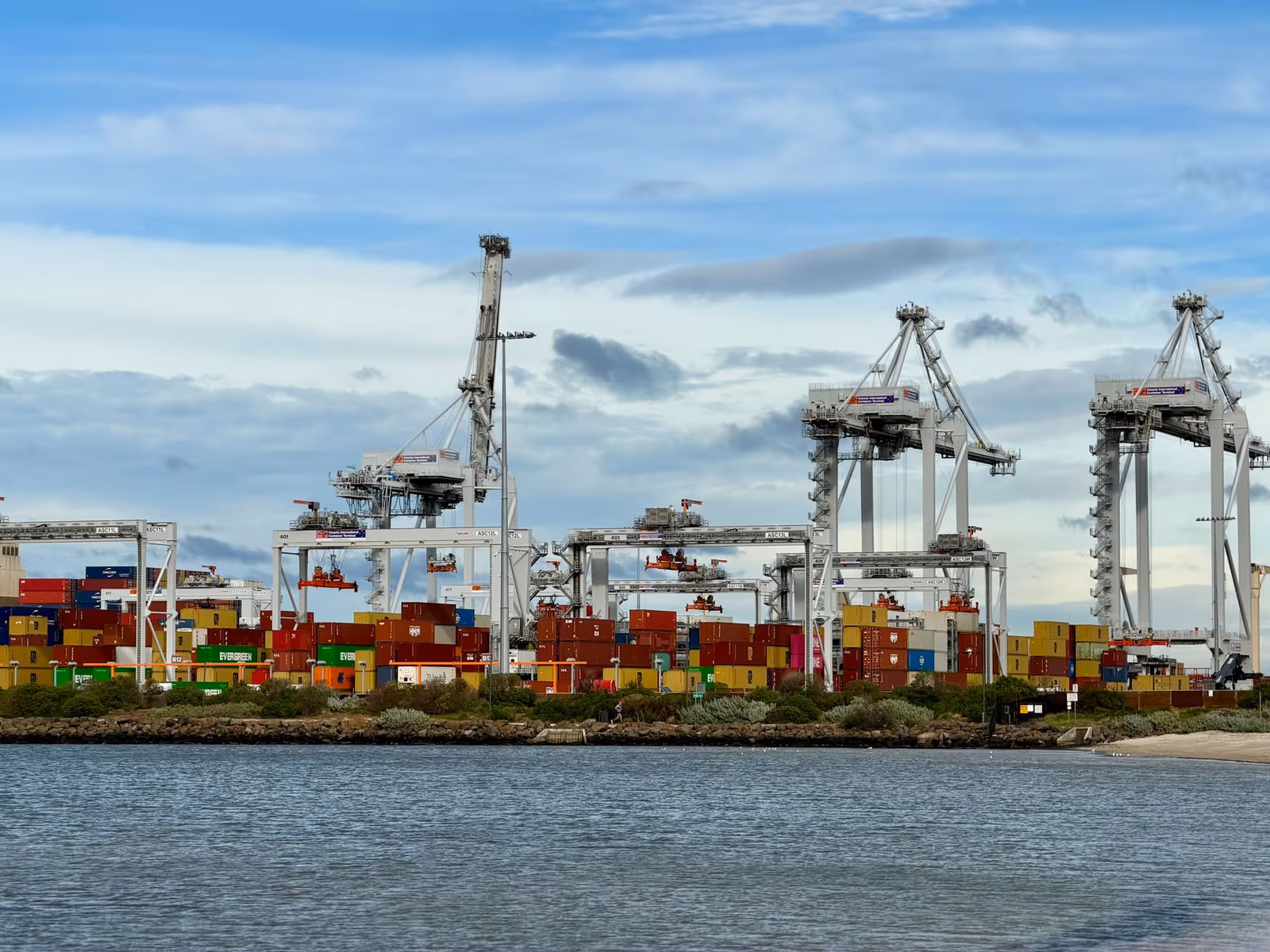 Container cranes working a port terminal